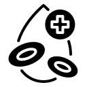 Pregnancy Test/Screening Test