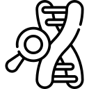 Amylase/ Lipase