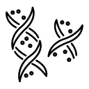 Lipo Protein a (Lpa)